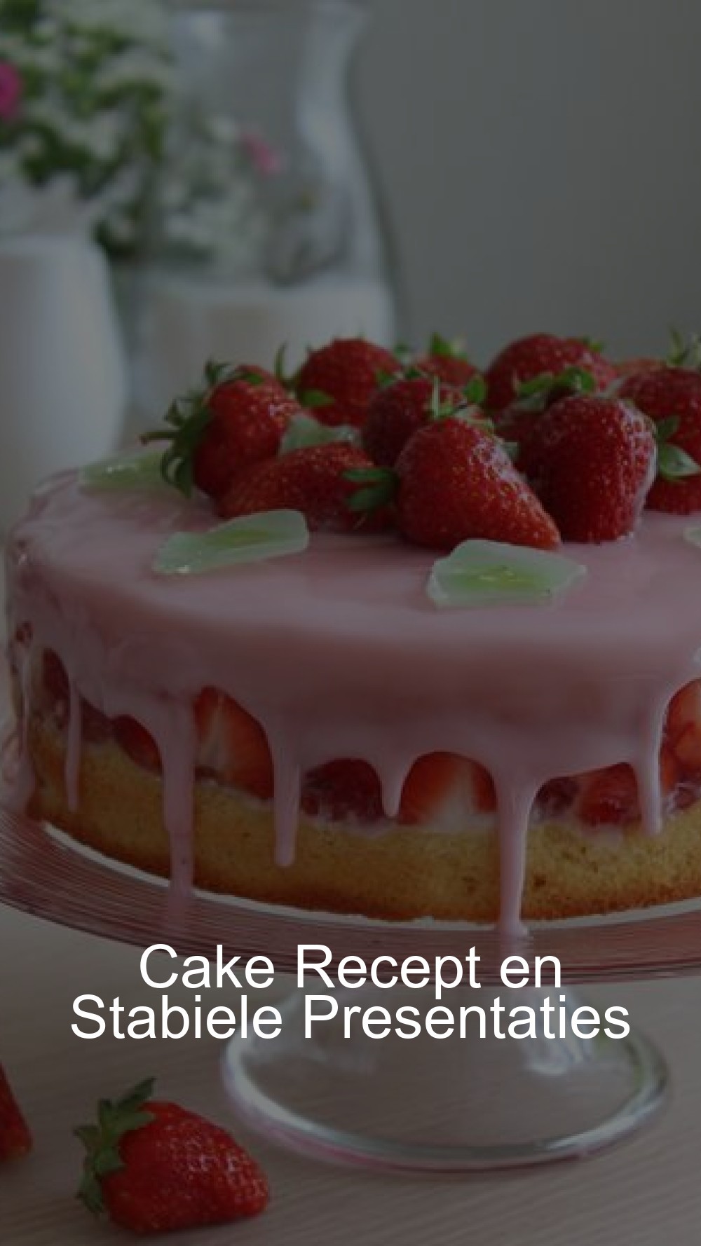 Cake Recept en Stabiele Presentaties