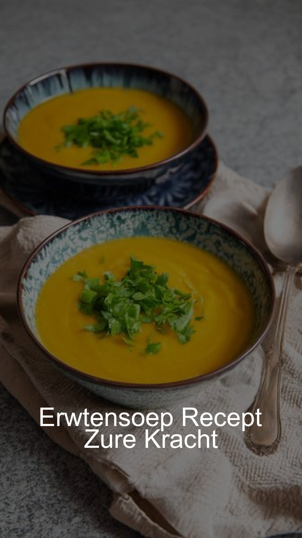 Erwtensoep Recept Zure Kracht