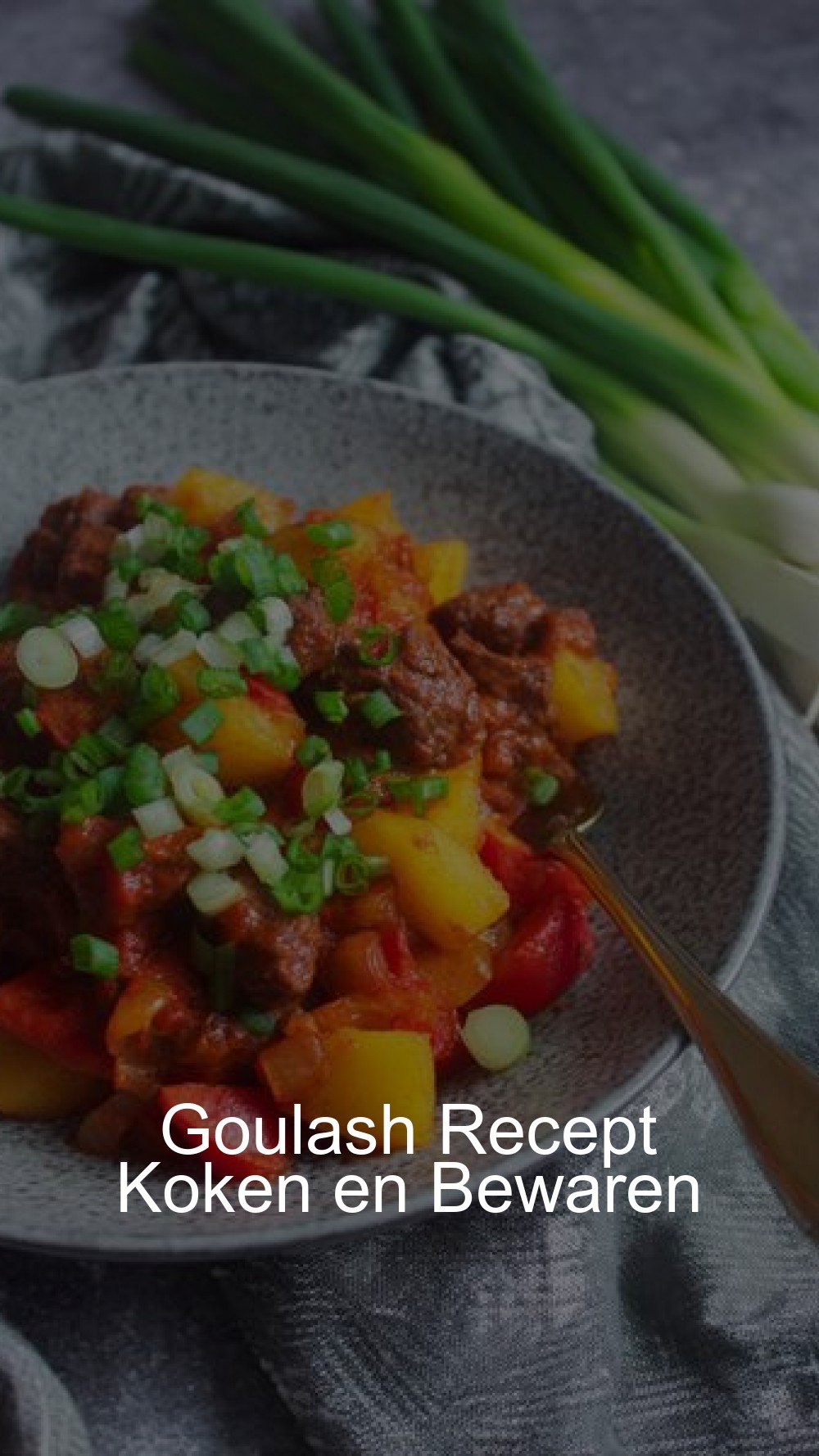 Goulash Recept Koken en Bewaren
