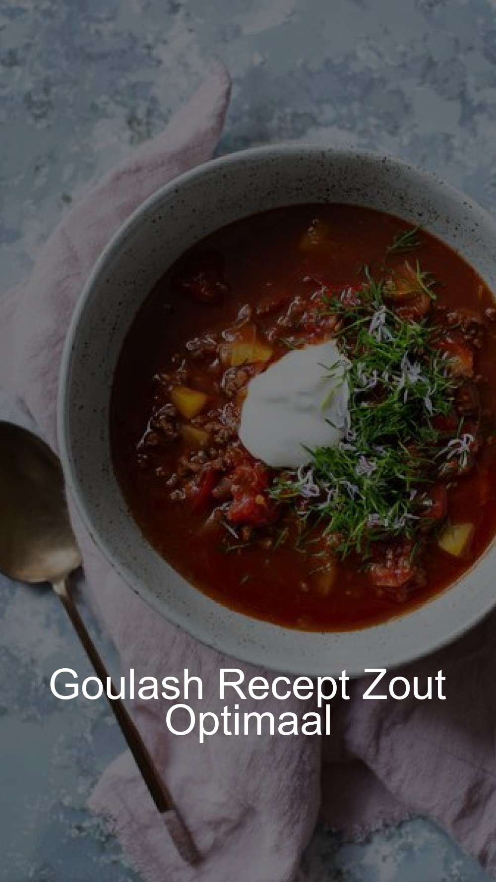 Goulash Recept Zout Optimaal