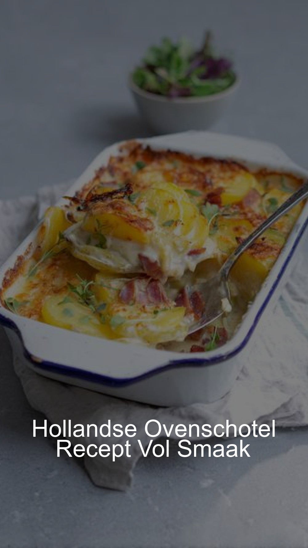 Hollandse Ovenschotel Recept Vol Smaak