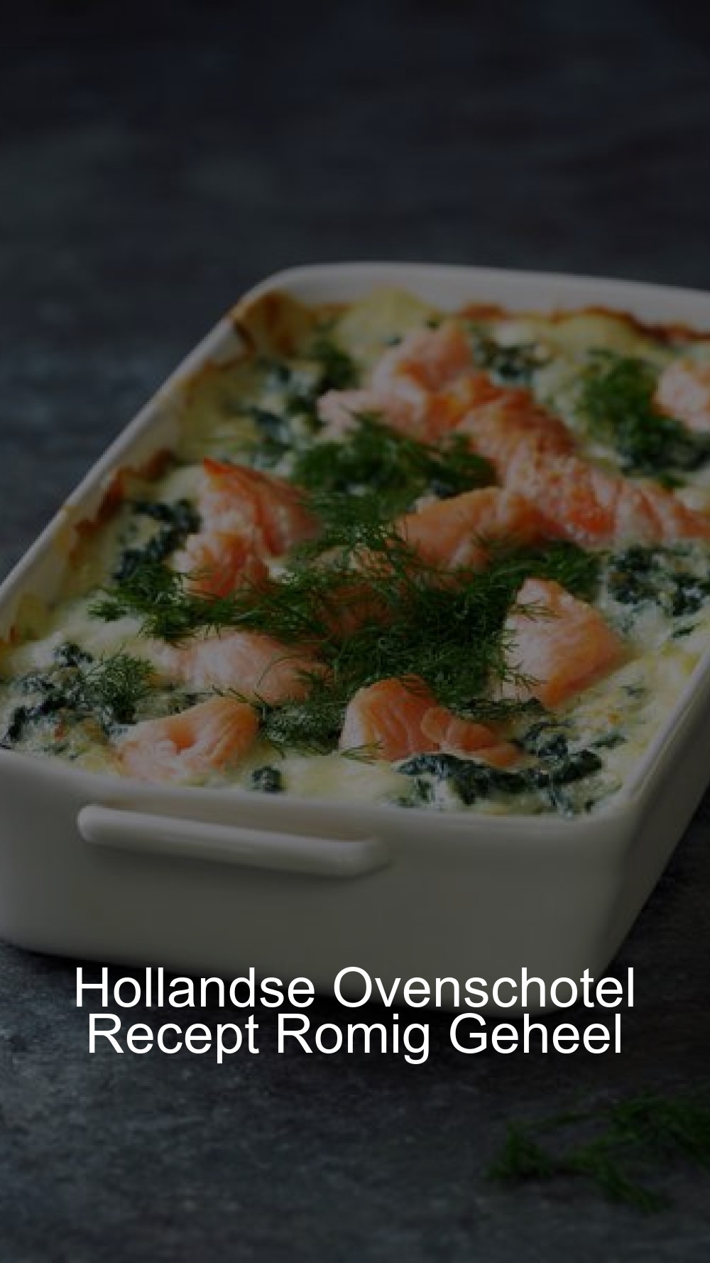 Hollandse Ovenschotel Recept Romig Geheel