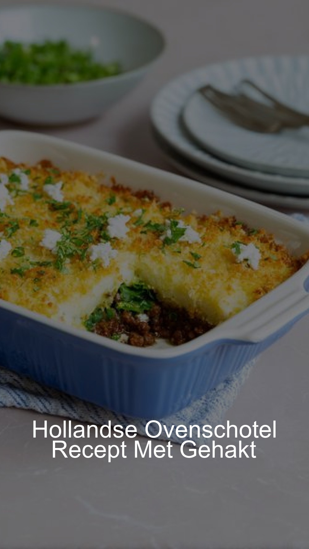 Hollandse Ovenschotel Recept Met Gehakt