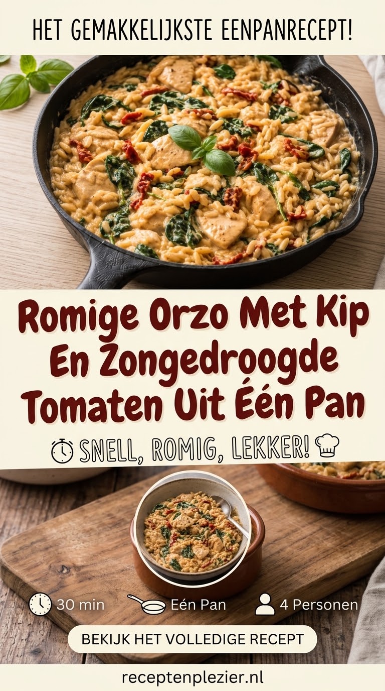 Romige Orzo Met Kip En Zongedroogde Tomaten Uit Één Pan