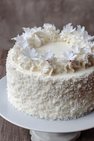 28. Verjaardagstaart vrouwen ideeën met winterwit en sneeuwachtige kokos